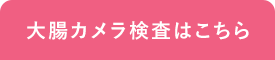 大腸カメラ検査はこちら